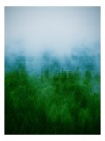 Tablou Canvas, "Ceața deasupra pădurii dese", Ceață, Pădure, Verde, Mister, Liniște, 26 x 39 cm, CMCLASS