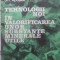 TEHNOLOGII NOI IN VALORIFICAREA UNOR SUBSTANTE MINERALE UTILE-GH. APOSTOL-231581