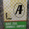 BUNA ZIUA, DOMNULE AMPERE!-TOMAS BOREC