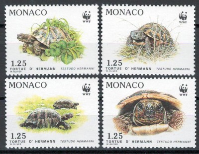 Monaco 1991 Mi 2046/49 MNH - Conservarea naturii WWF: broasca testoasa greceasca foto