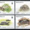 Monaco 1991 Mi 2046/49 MNH - Conservarea naturii WWF: broasca testoasa greceasca