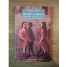 PRAGUL UMBREI . LITERATURA , FILOZOFIA SI PICTURA IN OPERA LUI GIORDANO BRUNO de NUCCIO ORDINE