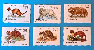 TIMBRE ROM&amp;Acirc;NIA L.P.1425/1997 Animale cu blană pretioasă -Serie simplă -MNH foto