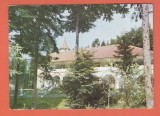 AMS - CP JUD. SUCEAVA - GURA HUMORULUI - MOTEL ARINIS
