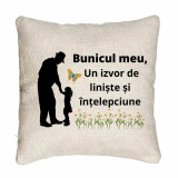 Perna Decorativa Canapea pentru Bunicul 5, 40x40 cm, Cu fermoar