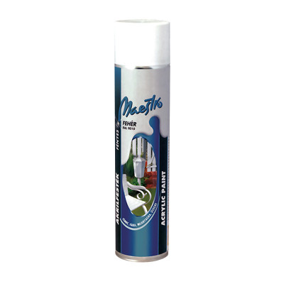 Vopsea acrilica lucioasa aerosol Maestro 600ml RAL9010 - Alb Garage AutoRide foto