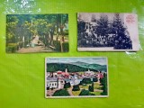 A970-Carti Postale Romania vederi vechi interbelice. Pret pe bucata.1- Vatra Dornei. 2-Baile Tusnad. 3- Ocnele Muresului-Parcul bailor.