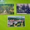 A970-Carti Postale Romania vederi vechi interbelice. Pret pe bucata.1- Vatra Dornei. 2-Baile Tusnad. 3- Ocnele Muresului-Parcul bailor.
