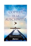 Cumpara ieftin Copilul de la Auschwitz
