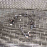 Cablaj ușă st&acirc;nga față JAGUAR F-TYPE Cabrio X152 2013 OEM: EX53-14631-AF 10653451