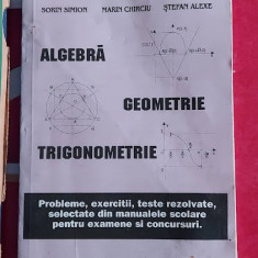 ALGEBRA GEOMETRIE TRIGONOMETRIE PROBLEME EXERCITII TESTE REZOLVATE SIMION ALEXE