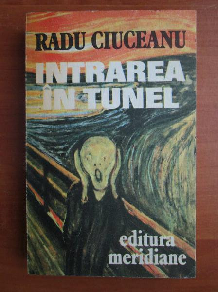 Radu Ciuceanu - Intrarea &icirc;n tunel. Memorii I