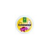Crema naturala cu echinacea, 20g, Steaua Divina