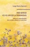 Fiti sfinti cu ce aveti la indemana - Luigi Maria Epicoco