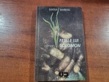 Fetele lui Solomon de Maria Marian