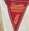 FANION FRUNTAS IN INTRECEREA SOCIALISTA