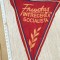 FANION FRUNTAS IN INTRECEREA SOCIALISTA