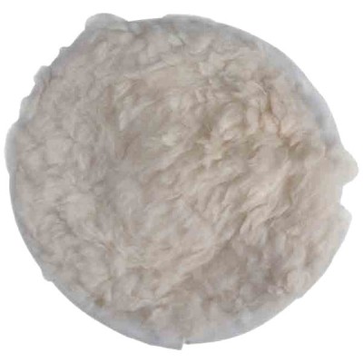 Calota de lustruire din lana cu snur, 125 mm, Raider 209934 foto