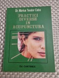 Practici diverse in acupunctura Marius Teodor Caba