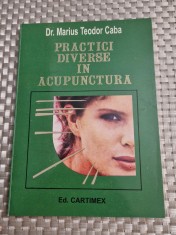Practici diverse in acupunctura Marius Teodor Caba