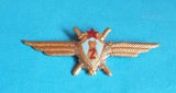 Insigna AVIATIE militara Internationala - Aviator - Pilot - categoria 2a