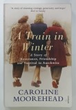 A TRAIN IN WINTER by CAROLINE MOORHEAD , 2011, PREZINTA URME DE UZURA