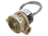 GEMS SENSORS Val.control Debit Lichid 15-75l/min, 6-45l/min, OUT 1 SPDT 156268BSPP