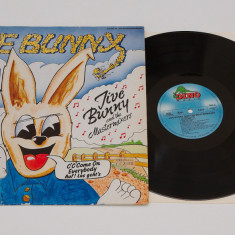 Jive Bunny - The Album ‎- disc vinil, vinyl, LP