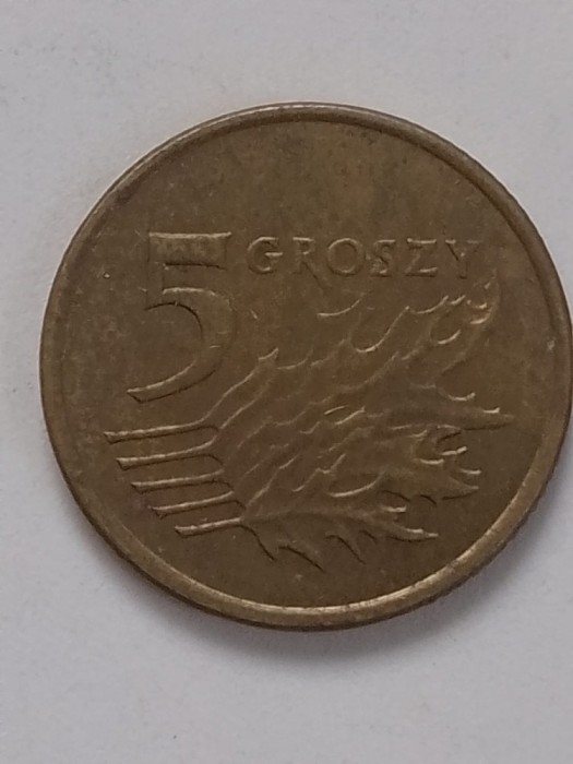 5 groszy 2007