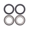 Kit Rulmenti Roata spate CanAm DS650 Can Am All Balls 25-1432