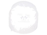 Lentilă Fresnel Albă pentru Detecție 30&deg;x20&deg; -25&divide;60&deg;C