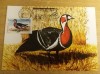 C12 - maxima Romania - tematica pasari 4 - prima zi a emisiunii sau expozitii, Romania de la 1950, Fauna