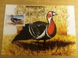 C12 - maxima Romania - tematica pasari 4 - prima zi a emisiunii sau expozitii, Romania de la 1950, Fauna