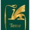 Teme, Nicolae Manolescu - Editura Art