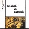 AMS - DUMITRU BRADATAN - GHEARE DE LUMINA FANTEZIE DUPA BLAGA (CU AUTOGRAF)
