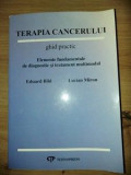 Terapia cancerului ghid practic Eduard Bild,Lucian Miron
