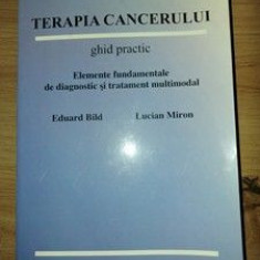 Terapia cancerului ghid practic Eduard Bild,Lucian Miron