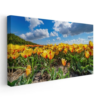 Tablou peisaj cu lalele galbene 1790 Tablou canvas pe panza CU RAMA 70x140 cm foto