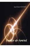 Cuante de lumina carte Poezie proza Jurnal Biografii Memorii Jurnale Raul Sorin Fantana