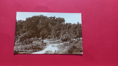 Teleorman Turnu Magurele Vedere din parc foto