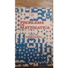 PROBLEME DE MATEMATICA PENTRU GIMNAZIU - I. PETRICA