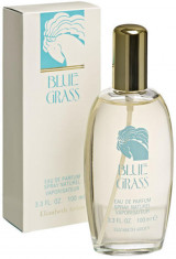 Apa de Parfum Elizabeth Arden Blue Grass, Femei, 100ml foto