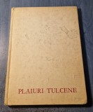 Plaiuri tulcene album fotomonografie