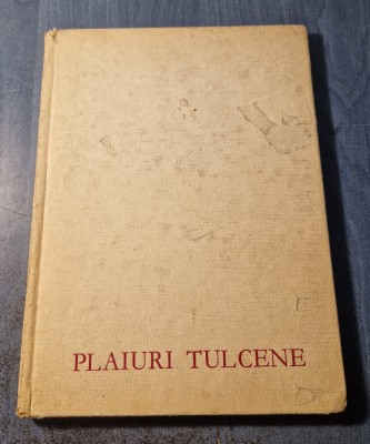 Plaiuri tulcene album fotomonografie foto