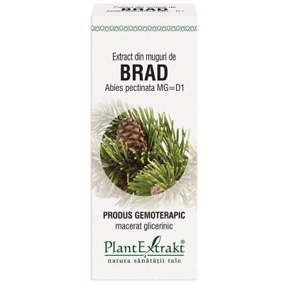 Extract Muguri Brad 50ml PlantExtrakt foto