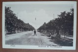 Carte postala, necirculata, bulevar in Ploiesti, inceput de secol XX