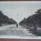 Carte postala, necirculata, bulevar in Ploiesti, inceput de secol XX