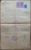 Certificat oficios privind cetatenie, Jucul de Mijloc, Cluj 1935