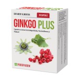 GINKO PLUS 30CPS