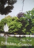 Paul Filip - Batranul Cismigiu (ARCUB, 1999, 100 ilustratii) album foto istoric parcul parc central istoric din Bucuresti Cismigiul parcuri patrimoniu